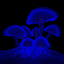 champignon