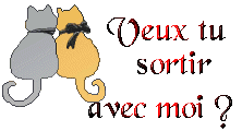 veux tu sortir avec moi ?