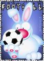 football lapin