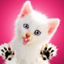 chat
