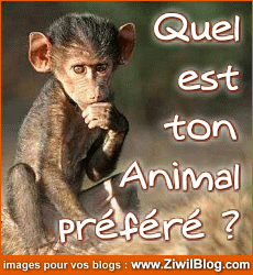 animal préféré
