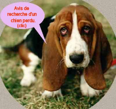 avis de recherche