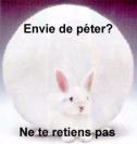 lapin