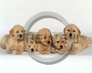 labradors
