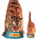 friskies