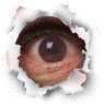 yeux