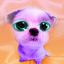 chien
